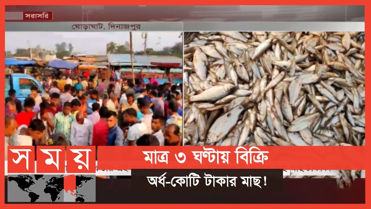 ক্রেতা-বিক্রেতায় মুখর ঘোড়াঘাটের মাছের আড়ত | Fish Market | Ghoraghat | Business News | Somoy TV
