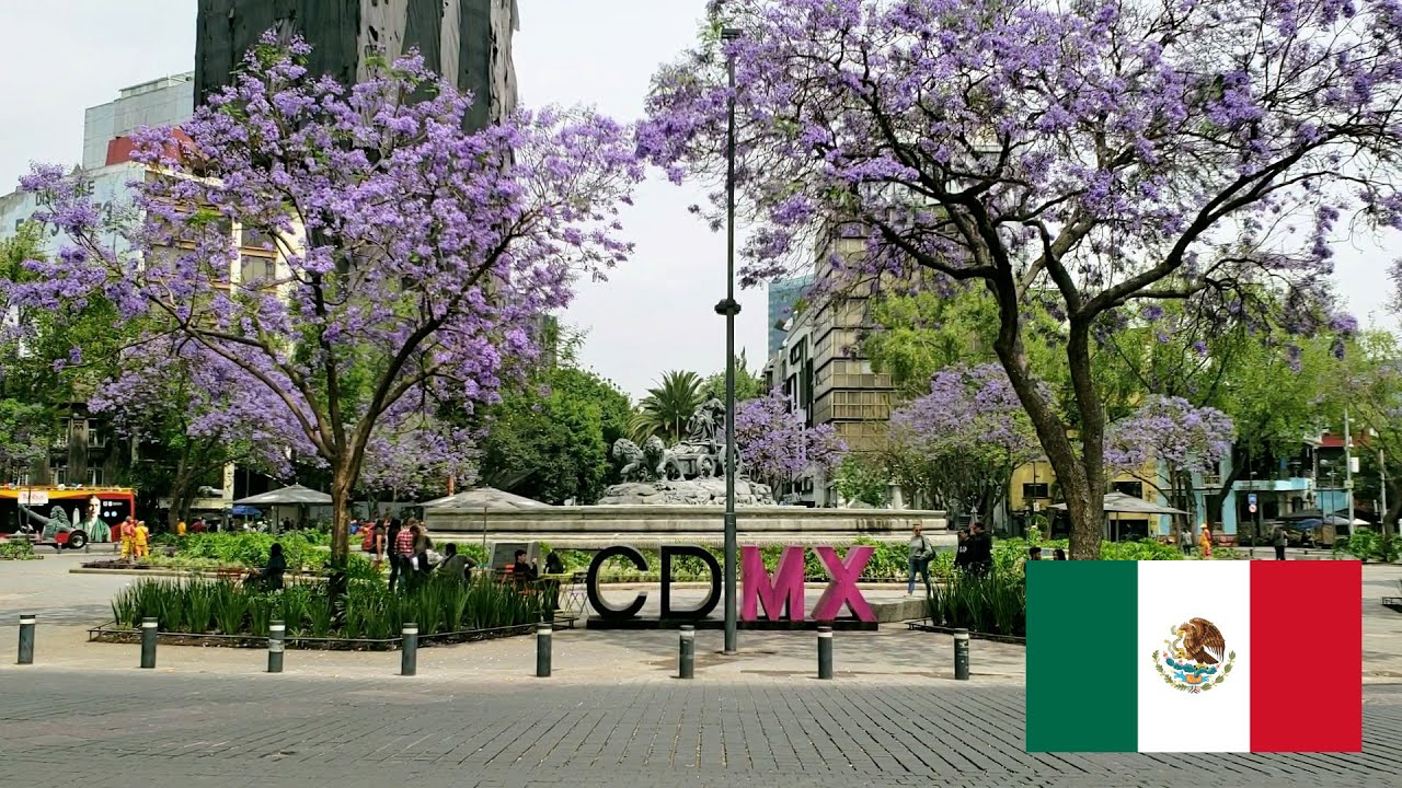 Colonia Roma Norte (2019)/ Ciudad de México