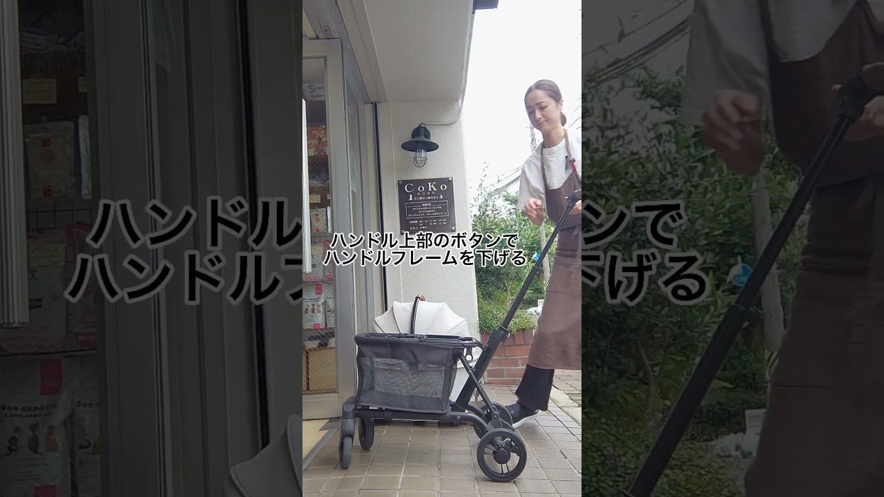 AIR BAGGY wizX　折り畳み♪