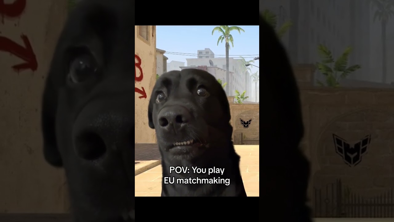 play EU matchmaking #memes #cs2