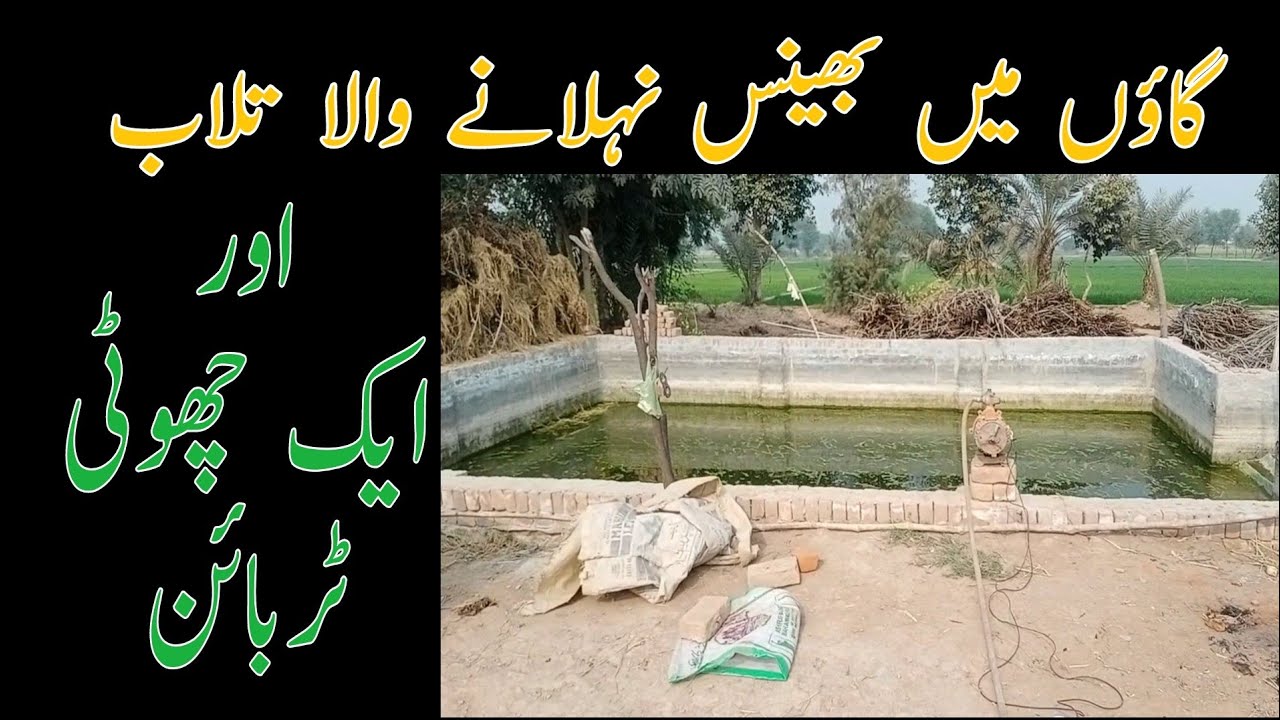 village life in pakistan punjab || village life in pakistan in 2021 || behns nehlany wala tlab