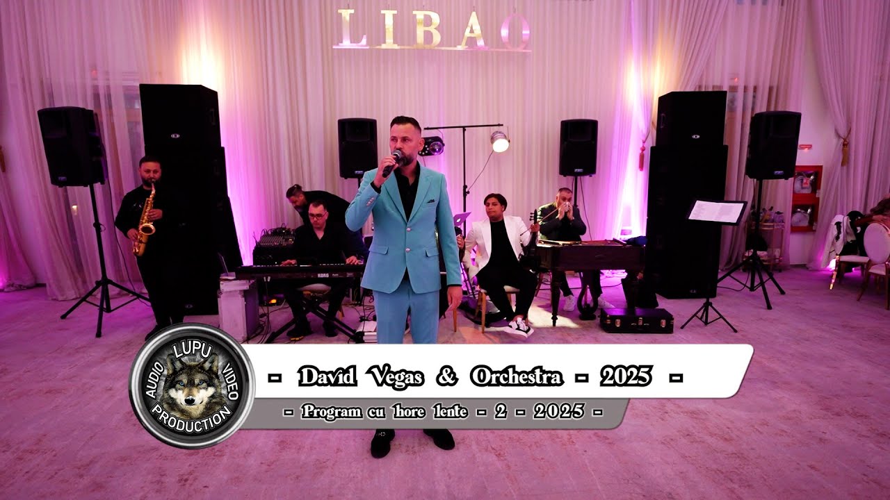 David Vegas & Orchestra - 2 - Program cu hore lente de masa - 2025