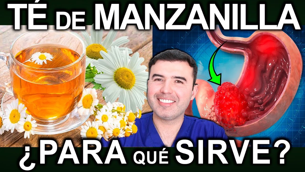 TE DE MANZANILLA ANTES DE DORMIR - Beneficios, Para Que Sirve Y Contraindicaciones