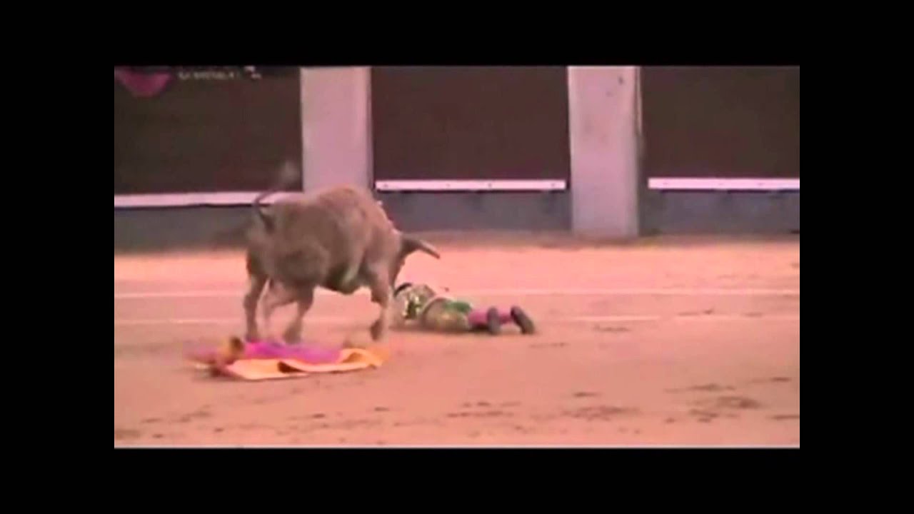 COGIDA EN LAS VENTAS A MILAGROS DE PERU