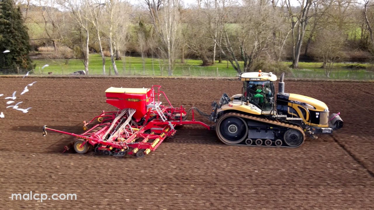 4k Väderstad Rapid A800S 8m drill, CAT Challenger MT845C in lovely countryside in Hadleigh, Suffolk.
