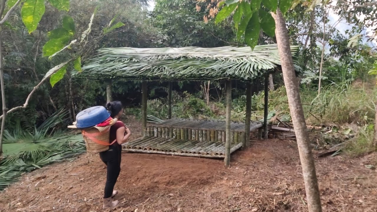 65-Day Challenge || Complete a bamboo house and camp in the forest.