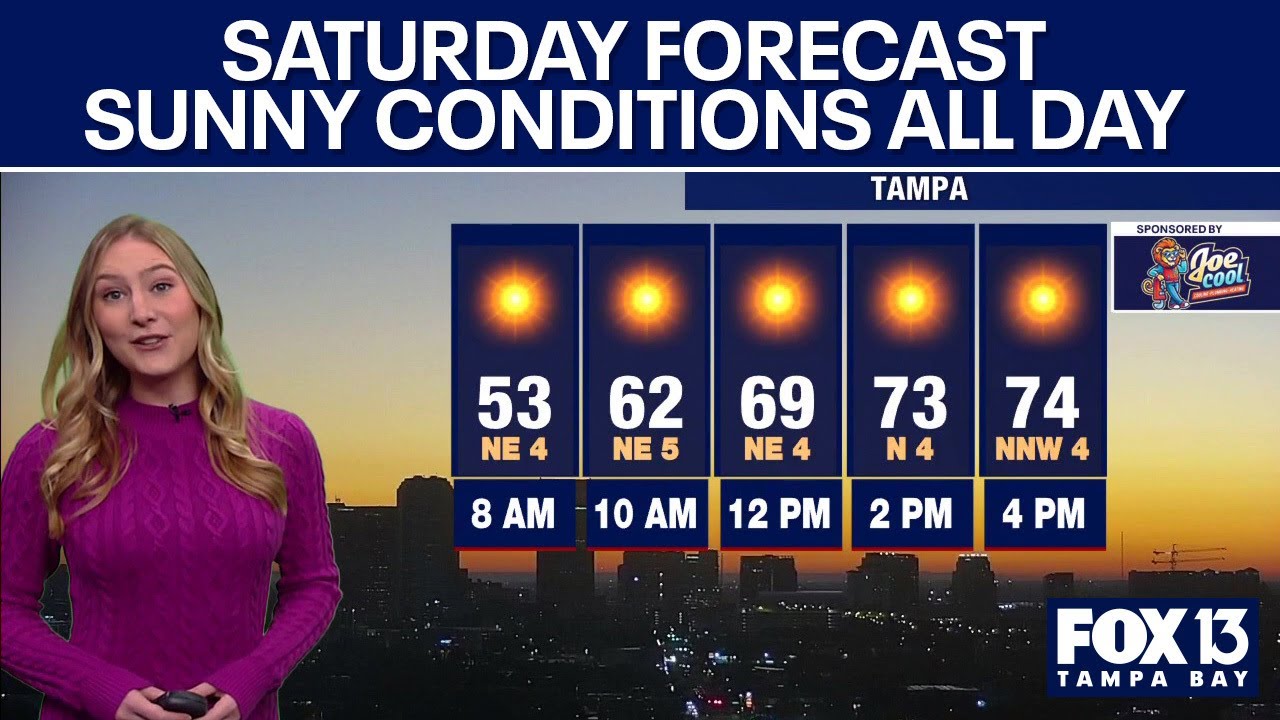 Tampa weather | Sunny and refreshing conditions