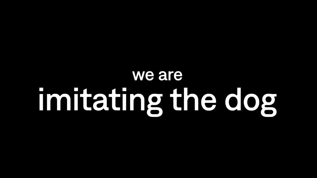 The electrifying world of imitating the dog | showreel 2024
