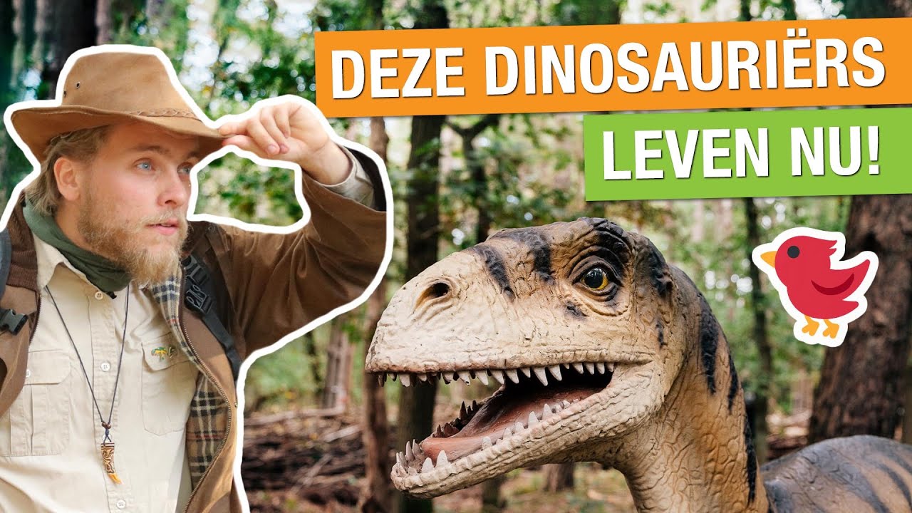 DIT ZIJN DE DINO’S DIE NU OP AARDE LEVEN! 😳🦖 | Op pad met Niels #7
