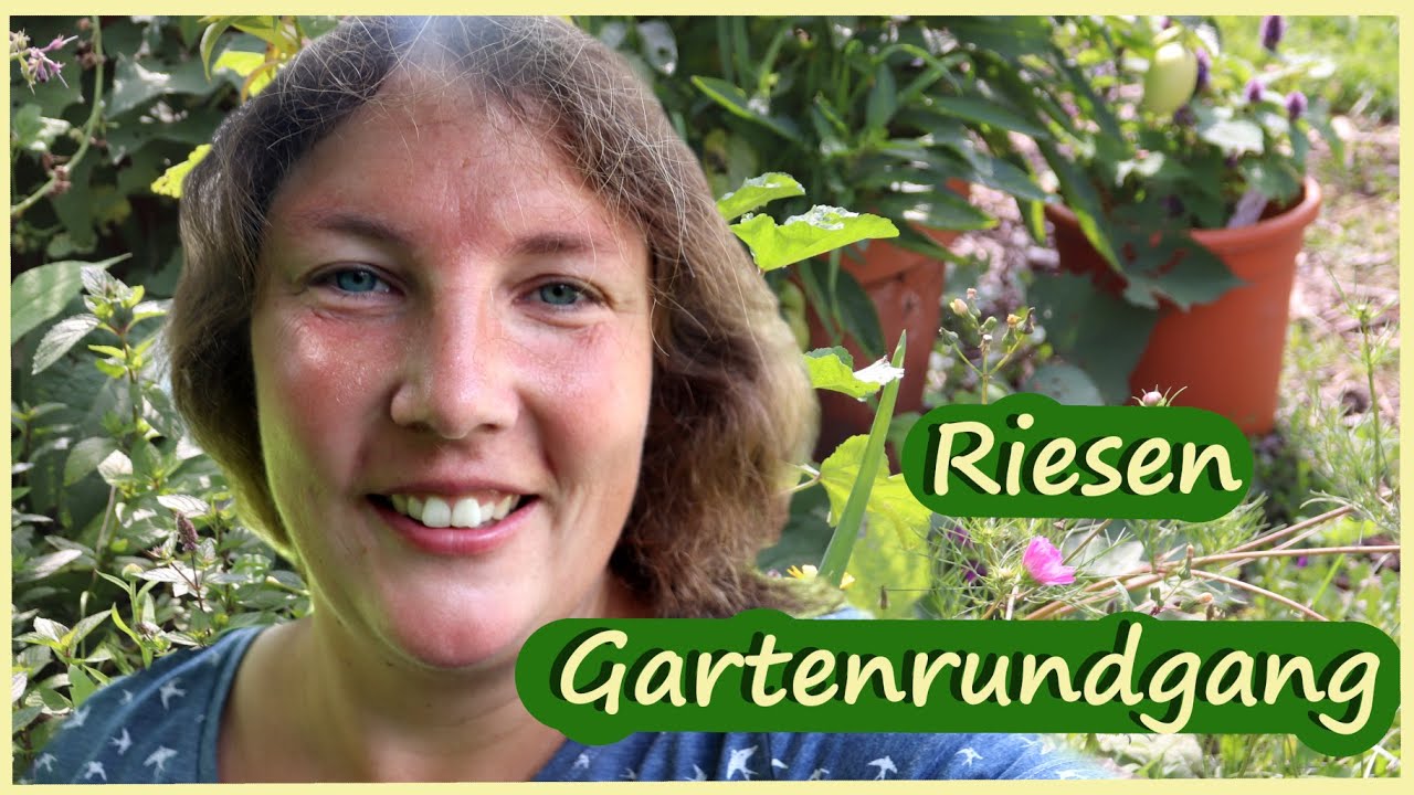 Mein ganzer Garten nach 5 Jahren von vorn bis hinten │Gartenrundgang September