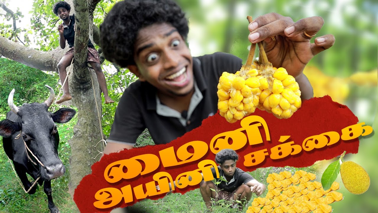FOUND OUT A MYSTERIOUS FRUIT 😂 | மைனியே அயினி சக்கை 🪄🫅🏽
