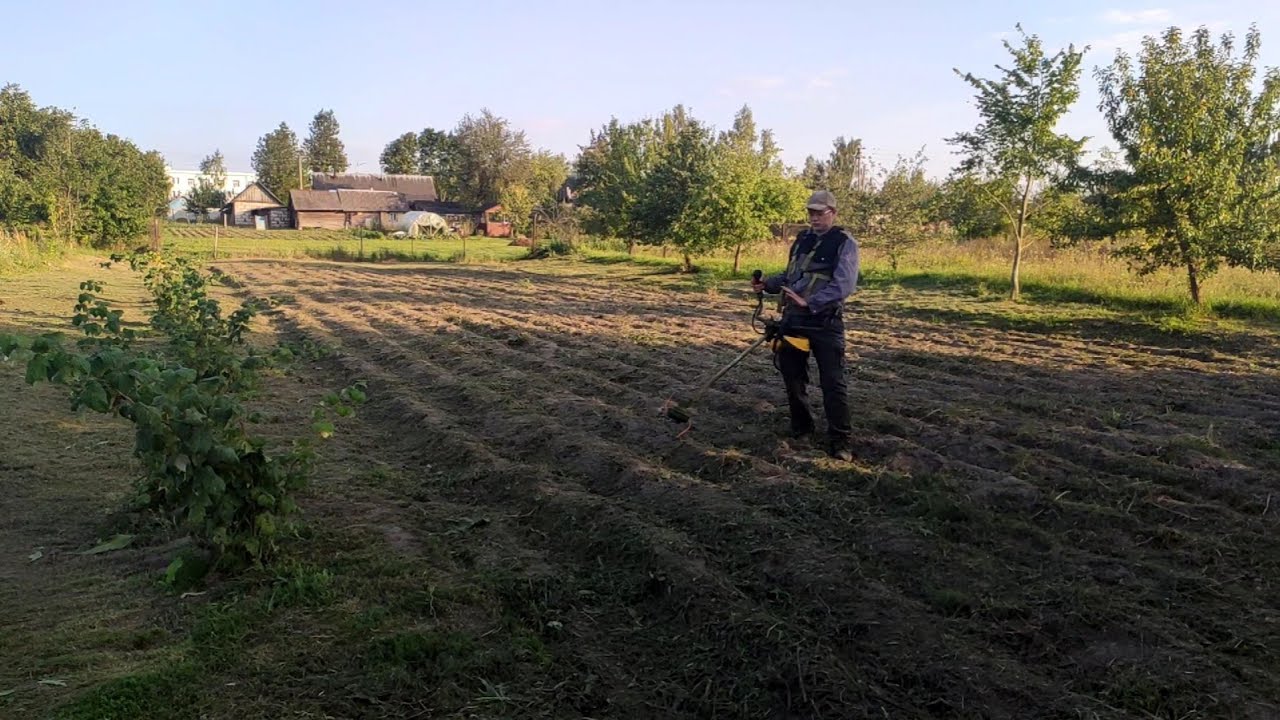 Как скосить картофельную ботву с травой начисто бензокосой.