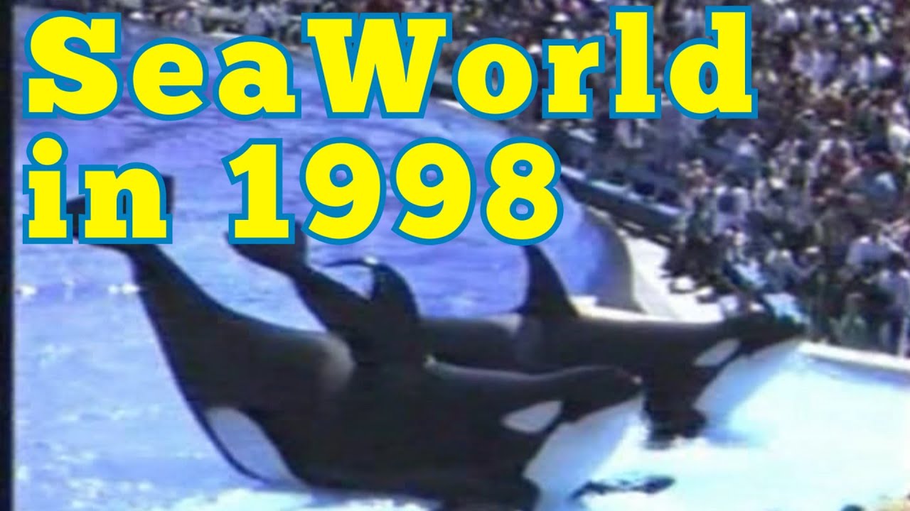 Seaworld San Diego 1998  - old footage - Sea World Kalifornien Alte Aufnahmen 90s - California