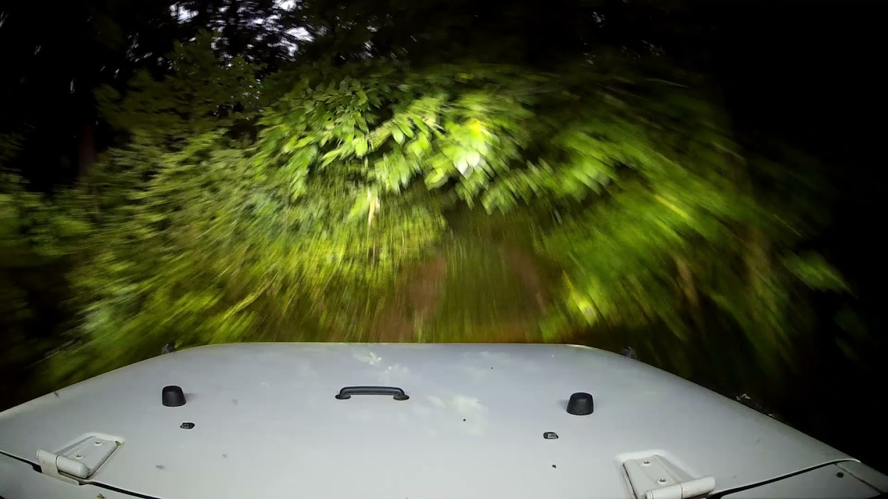 Jeep Wrangler fedélzeti - pár perc sötét erdő, semmi extra