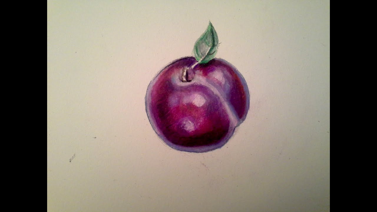 YouDraw: : Plum w/ Watercolor Pencils & Prismacolor Color Pencils