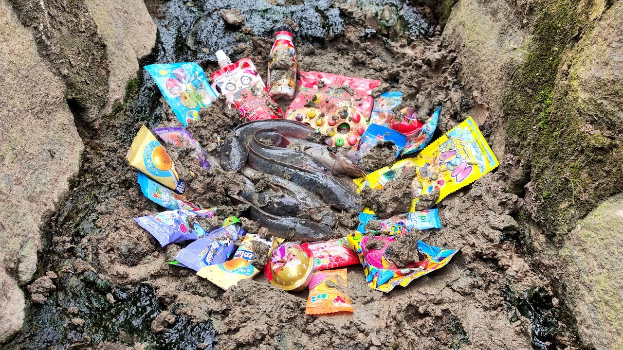 TANTANGAN Mencari & Membersihkan permen yupi,permen lolipop,permen warna,tangkap ikan diparit Part 9