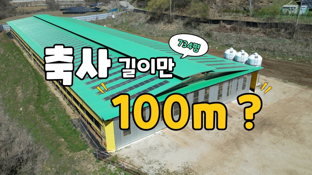 [축사TV 206편] 한우비육우사 준공후 모습ㅣ비육우ㅣ734평 한우축사