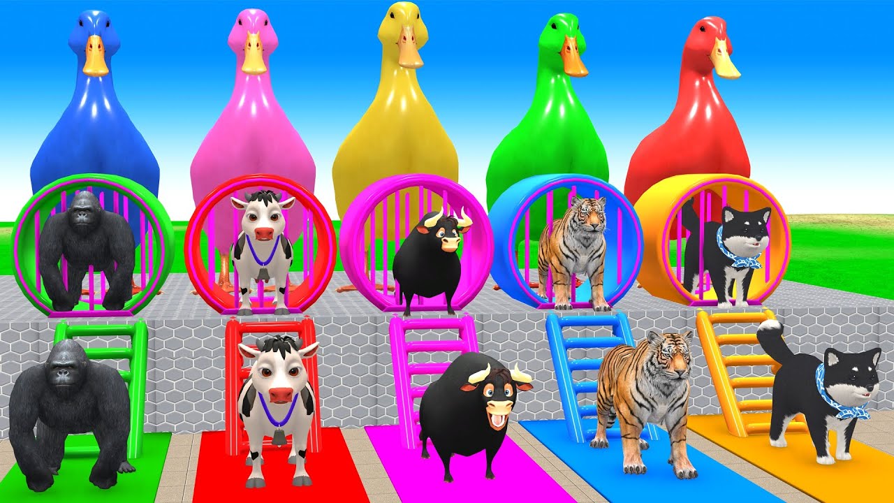 Long Slide Game With Cow Elephant Gorilla Hippopotamus Tiger 3d Animal Game Funny 3d Animals