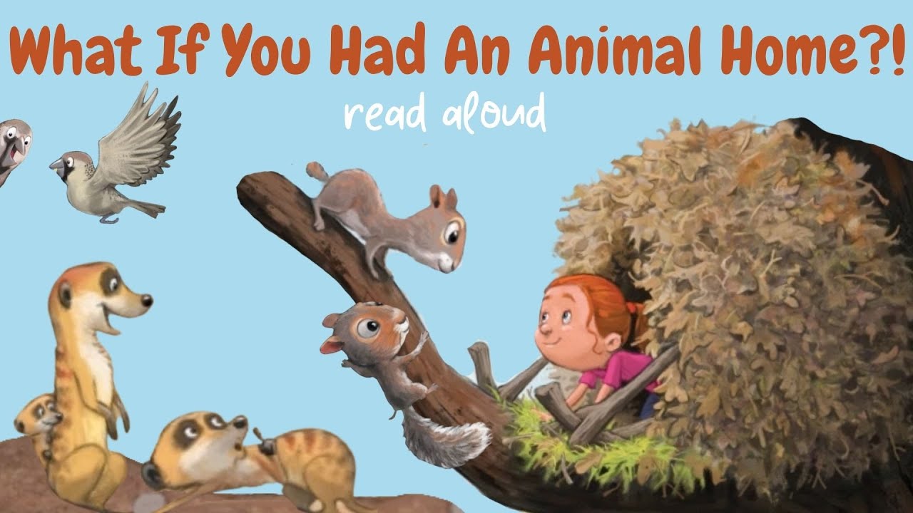 What If You Had An Animal Home 🏠🐝🐿️🦀🕷️🐻🏠 Scholastic Books Read Aloud #animalbook #animals #readaloud