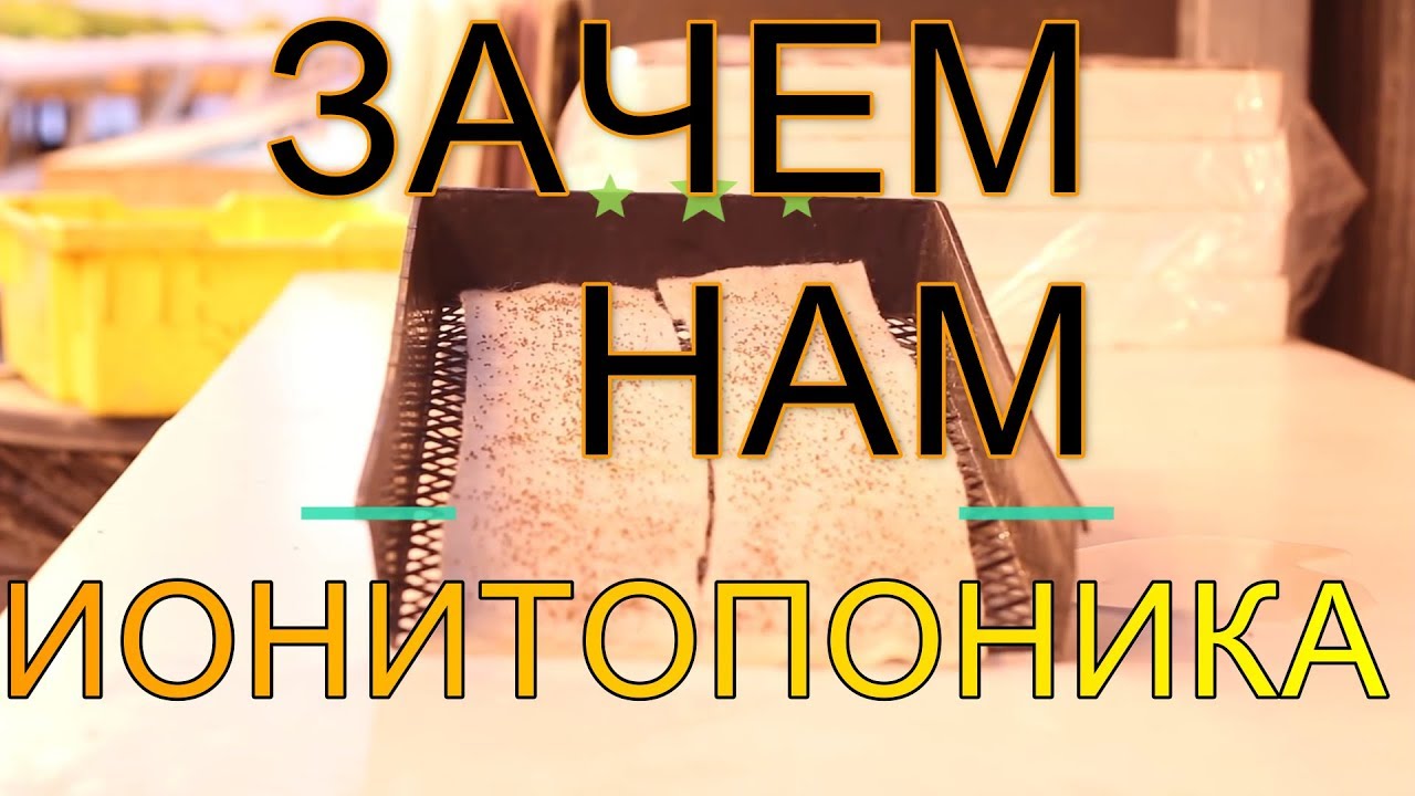 Что такое ионитопоника? Нужна ли?