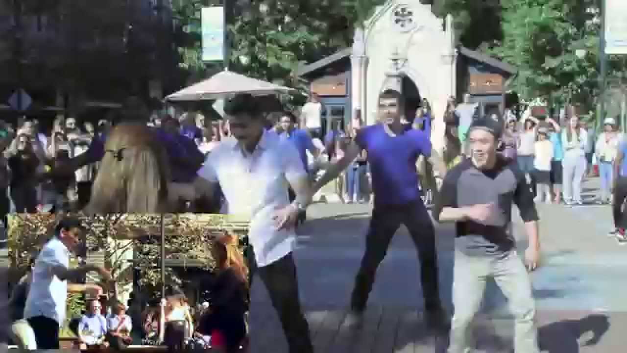 Chads Flashmob Proposal Santana Row