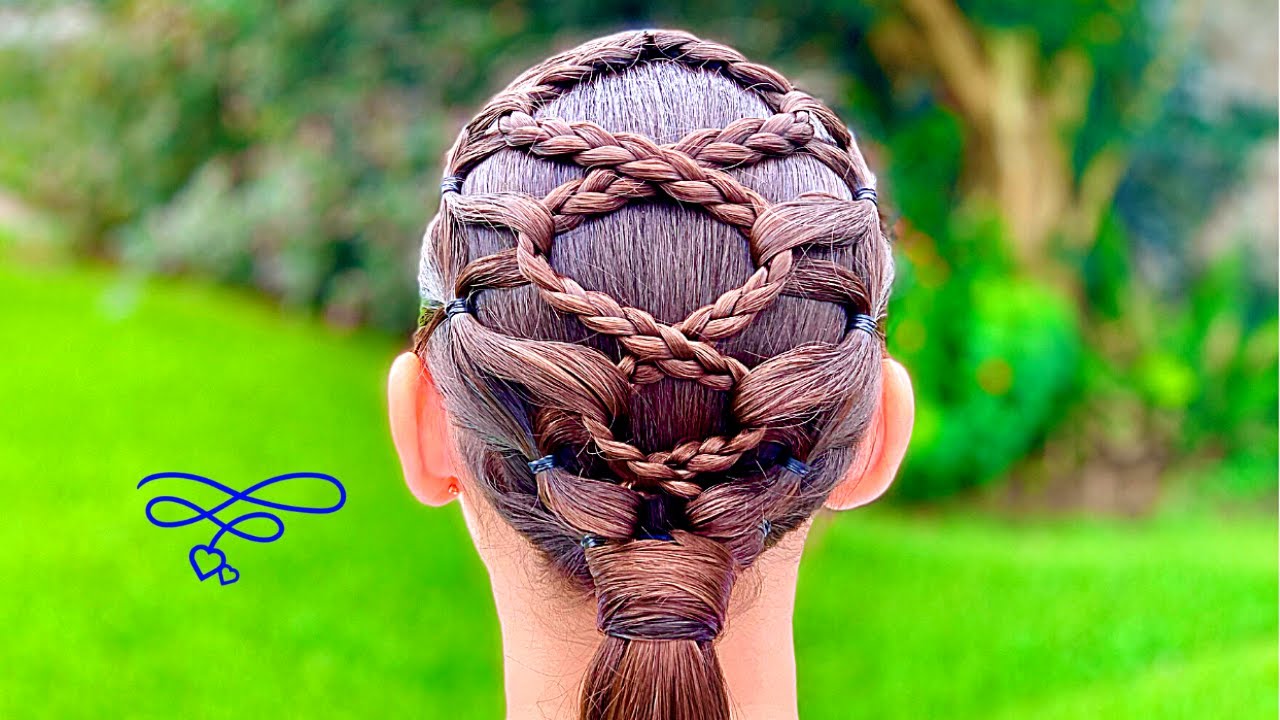 Linked Net Braid