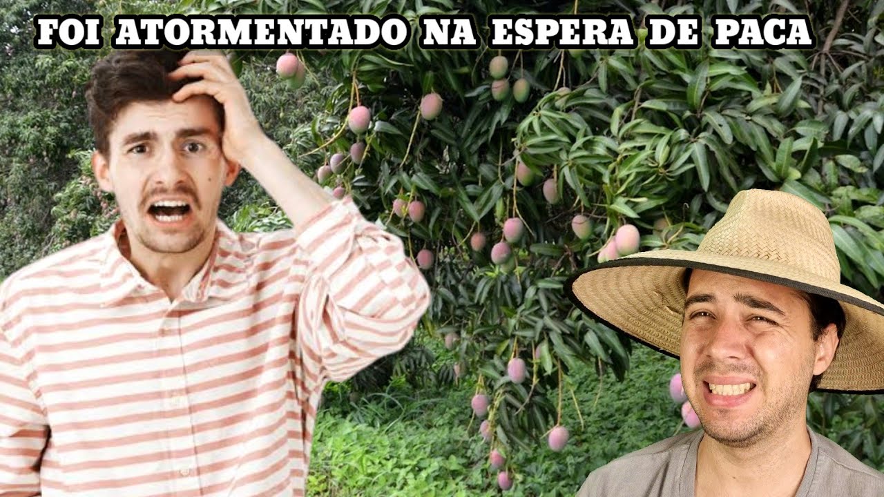 O Rapaz foi Esperar Paca no Taperão desconhecido e foi atormentado por uma Nivuzia antiga