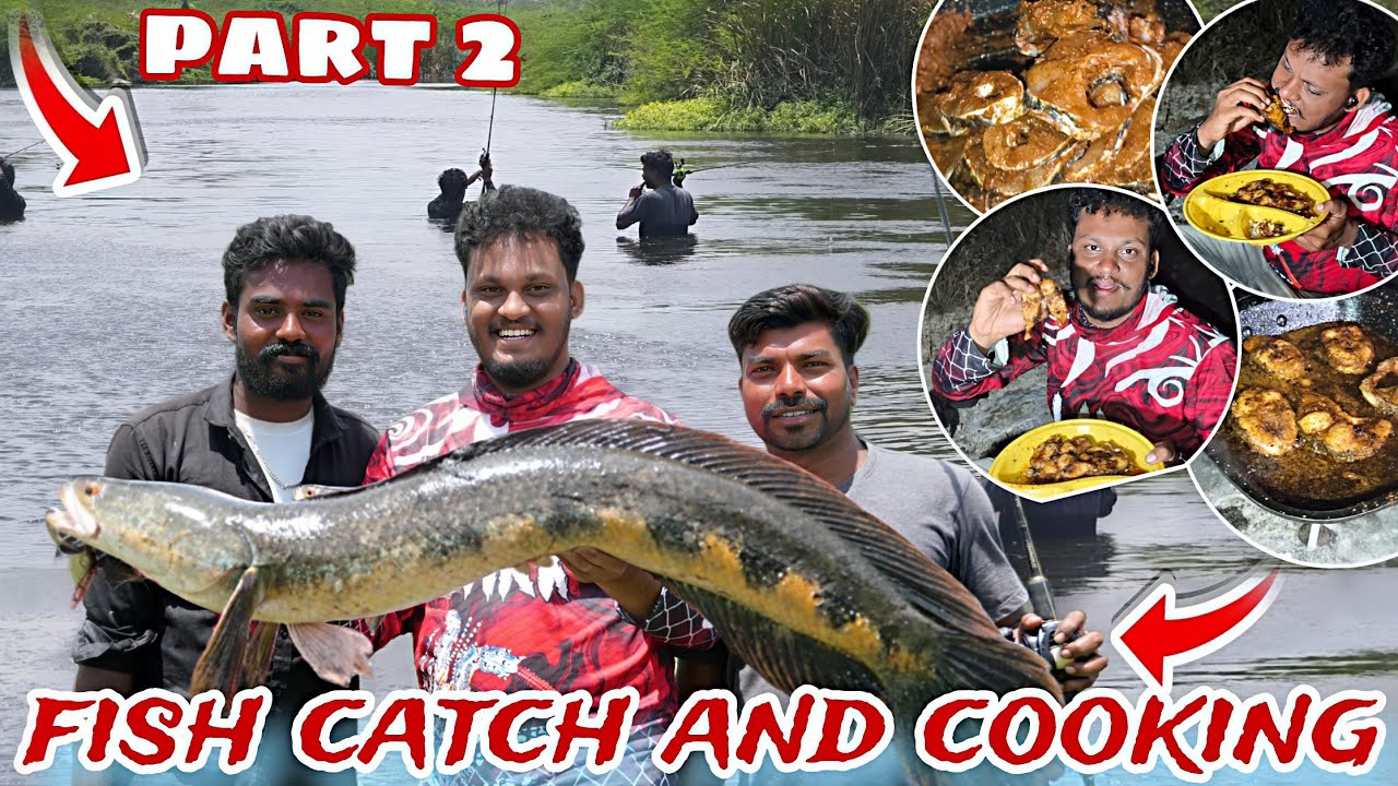 part 2 🤬| அருமையான அவுரி மீன்  வேட்டை ஆற்றங்கரையில் உட்கார்ந்து மீன் வருவல் | Fish catch and cooking