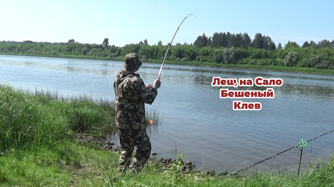 МОНТАЖ Снасти на ЛЕЩА на ТЕЧЕНИЕ! ПРИКОРМКА на КРУПНОГО ЛЕЩА! Рыбалка на Донки на Оке 2025.