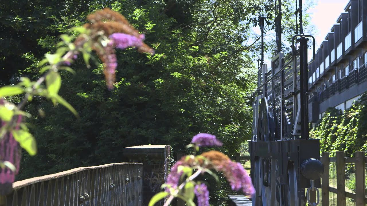 Short Film - Jon Mills - Blacksmith, Sculptor, Artist | Echo Video