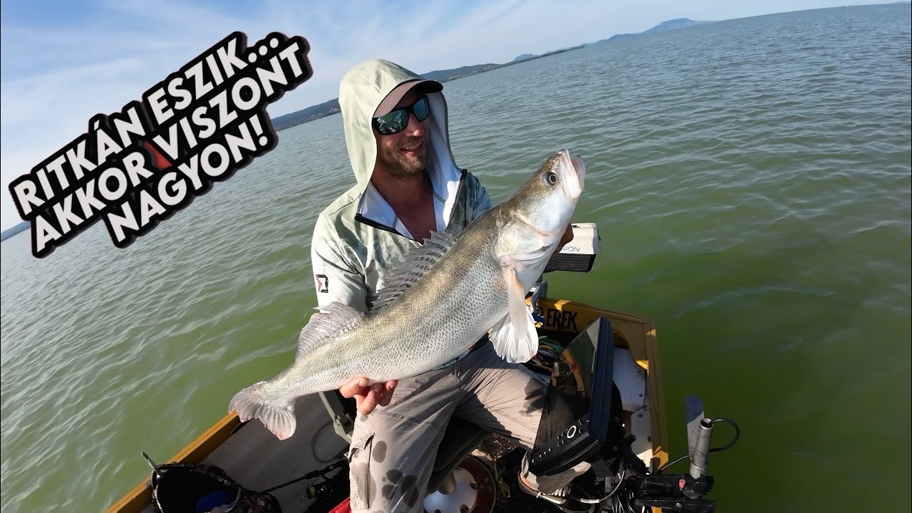 SÜLLŐ VAGY HARCSA ? FOGAS KÉRDÉS ! - PERGETÉS A BALATONON