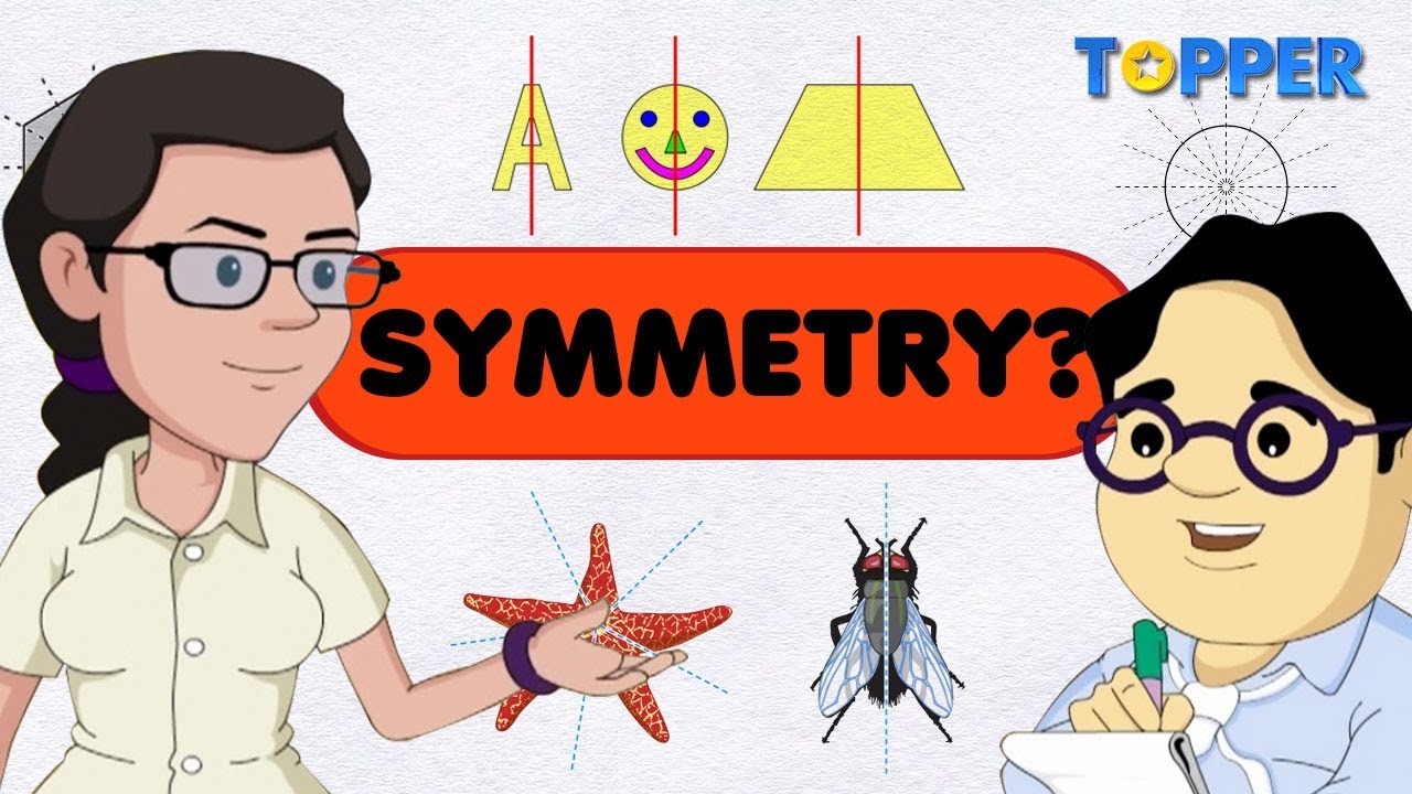 What is a Line of Symmetry? | Class 7th Maths |
