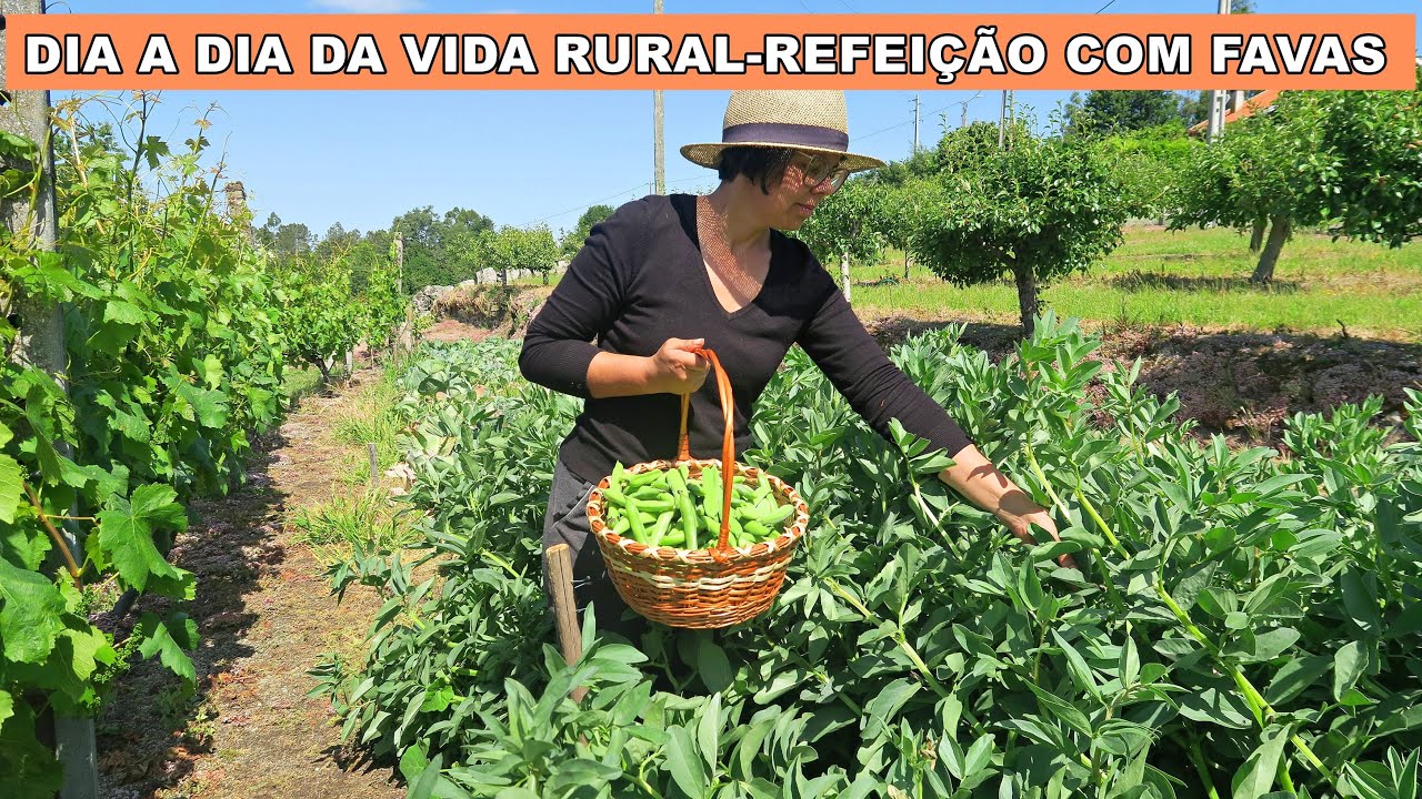 UM DIA TRISTE-MUITO TRABALHO-VIVER NO CAMPO-ASMR#simpleliving#vidarural