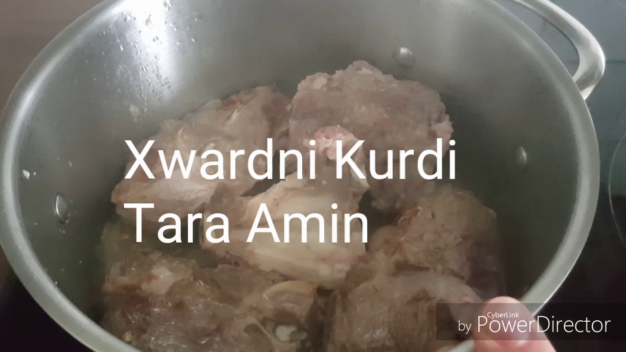 Xwardni Kurdi Tara Amin chonyati lenani trxena