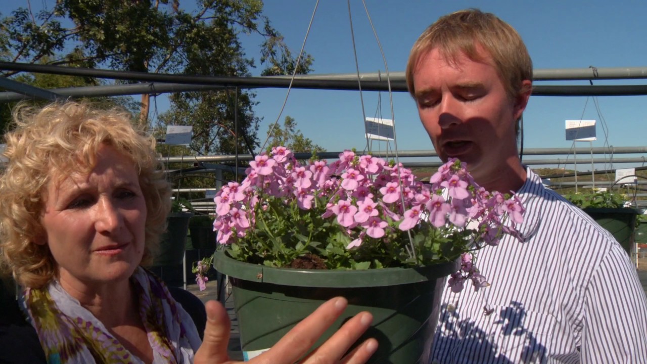 A Growing Passion - Meet John Rader and EuroAmerican Propagators
