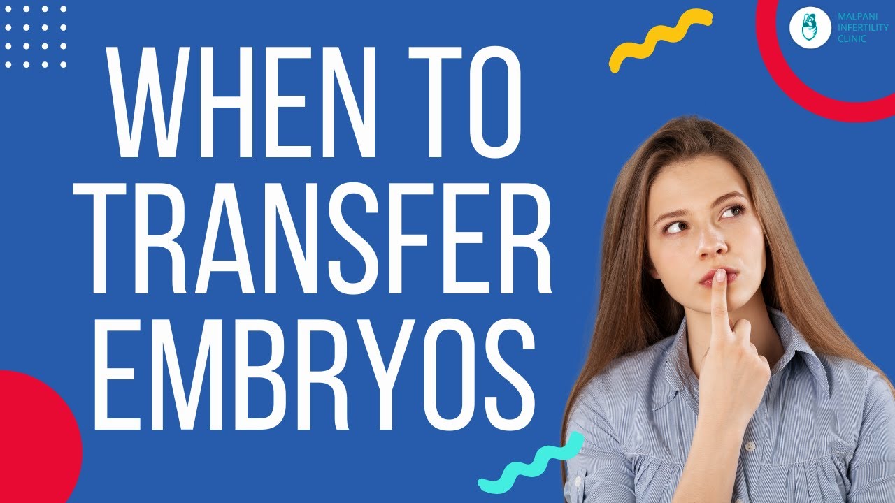 Embryo Transfer: When is the best day to transfer embryos? | Day 3 vs Day 5 Embryo Transfer | IVF