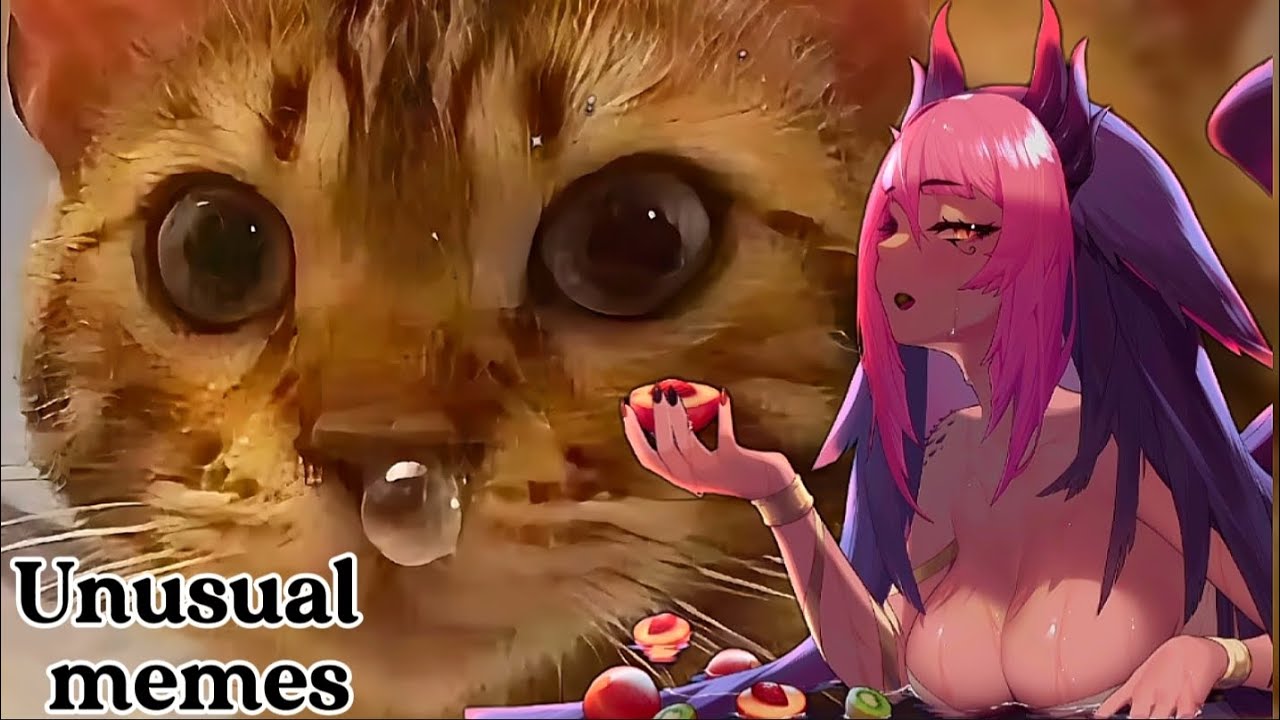 Trickywi reacts to unusual memes compilation | Try to not laugh