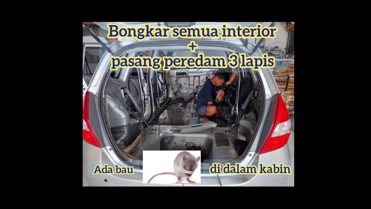 Honda Jazz Vtec pasang peredam 3 lapis dan ada bau tikus di kabin