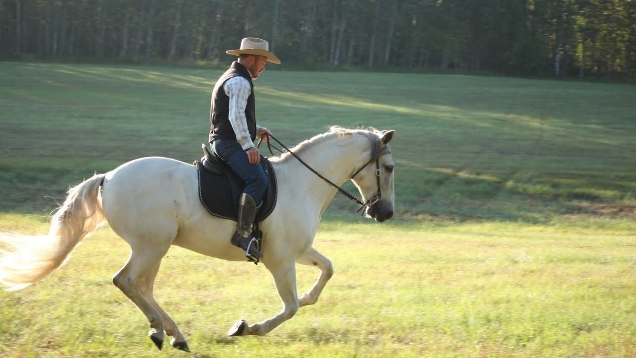 Ep. 18 Empowerment Over Dominance: Stop Misreading Your Horse's Behavior with Josh Nichol