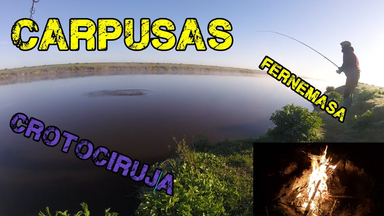 CARPAS EN CANAL 15 Y CANAL 1