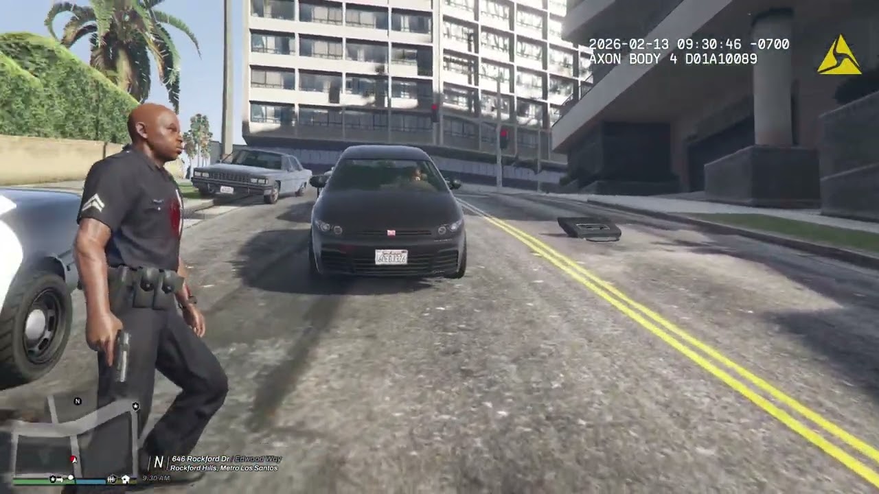 Multiple Pursuits-LSPDFR THE LOS SANTOS STORIES