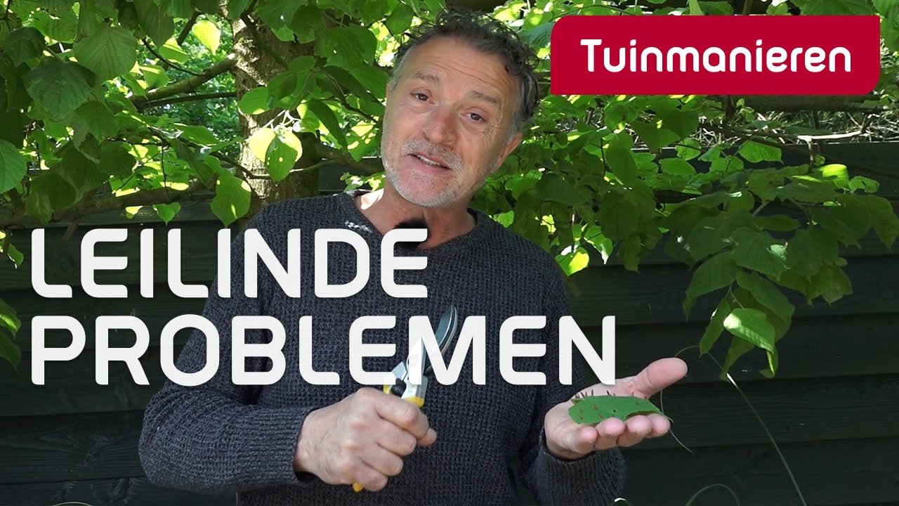 De Leilinde problemen | Tuintips | Tuinmanieren