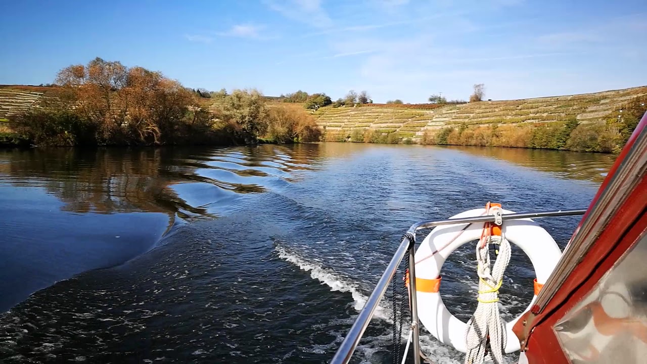 Amerglass KARINA auf dem Neckar
