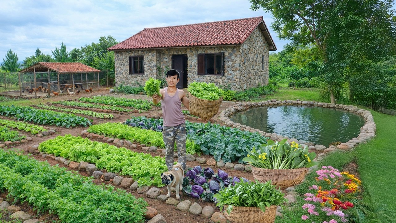 Harvest Vegetables After 60 Days Of Planting – Cook A Country-Style Meal - Build Farm