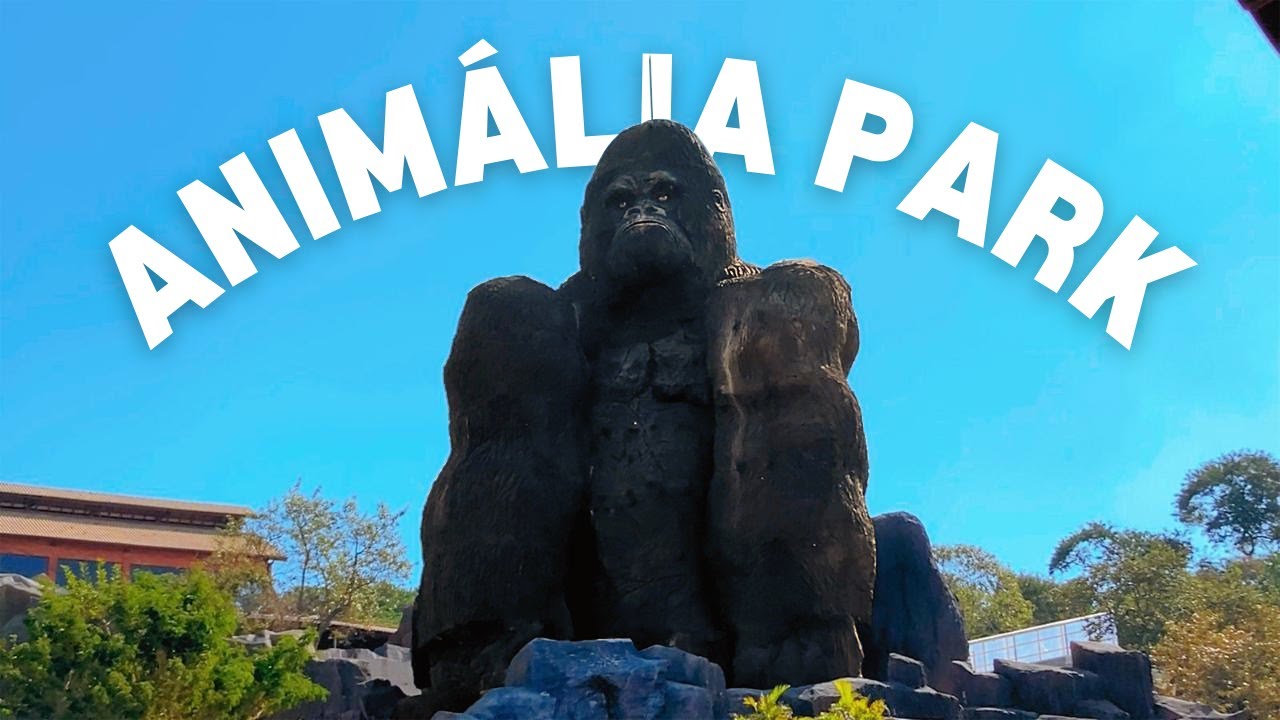Esse parque SUPEROU NOSSAS EXPECTATIVAS - Animalia Park, Cotia, S&atilde;o Paulo, Brasil [com pre&ccedil;os]