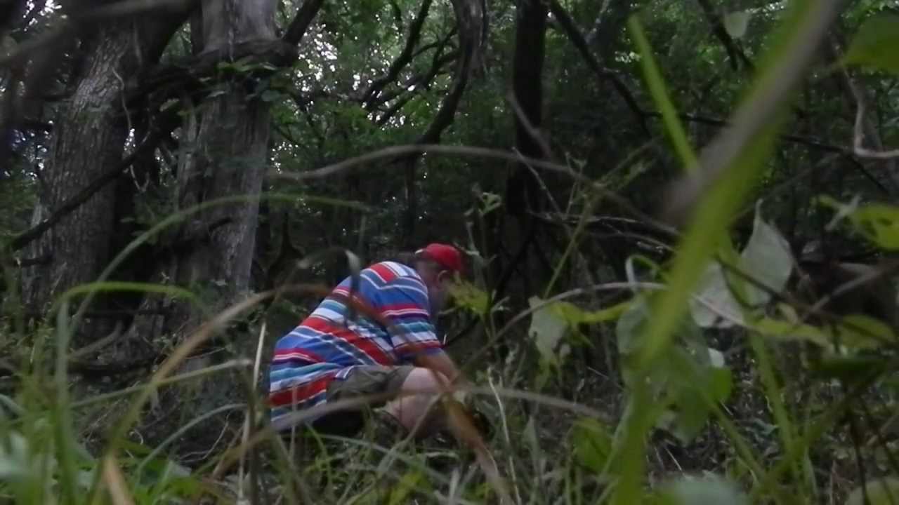 Feral Hog Hunting - Catching Piglets