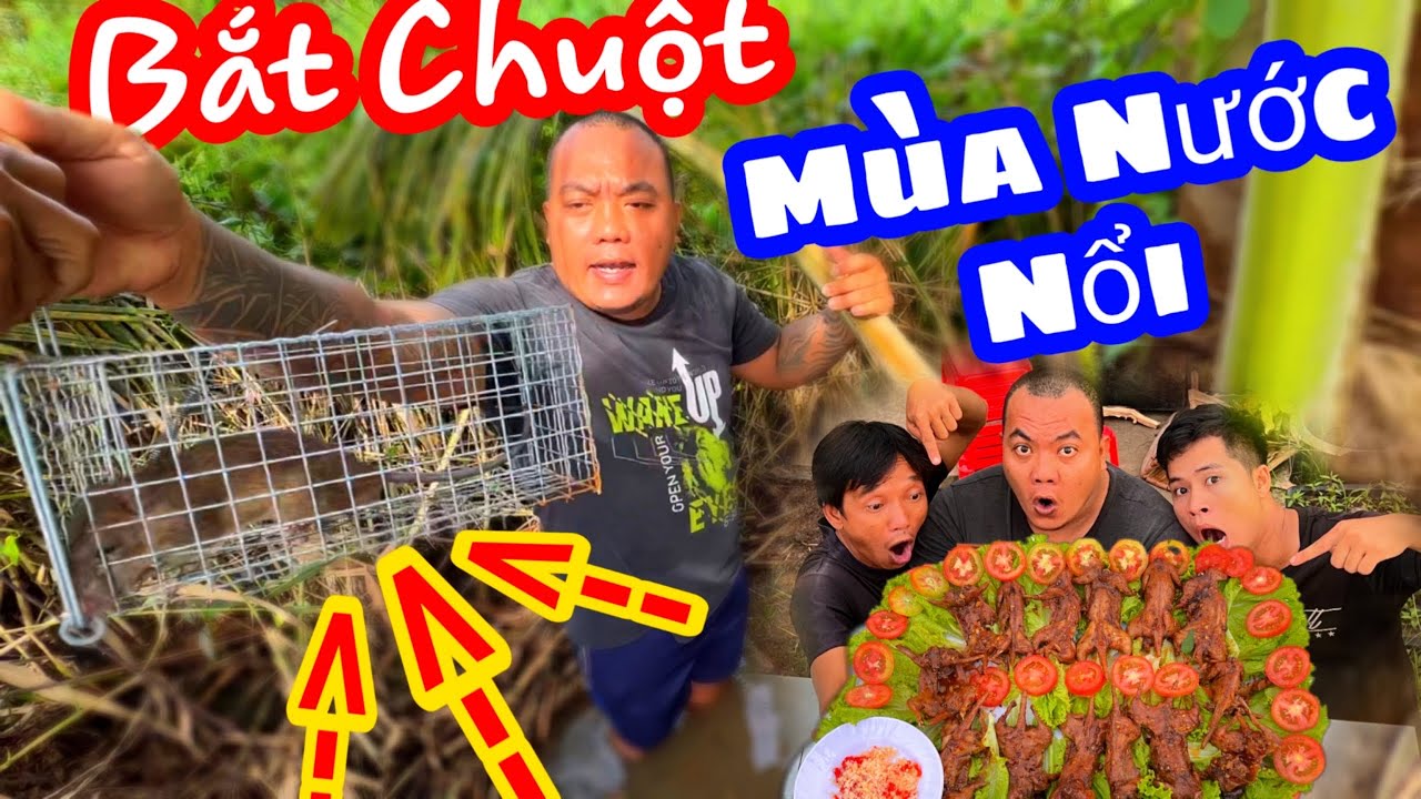 TXTV - Thánh Xàm Đặt B.ẫ.y Chuột Mùa nước nổi về làm chuột Khìa nước dừa ngon nhức nách