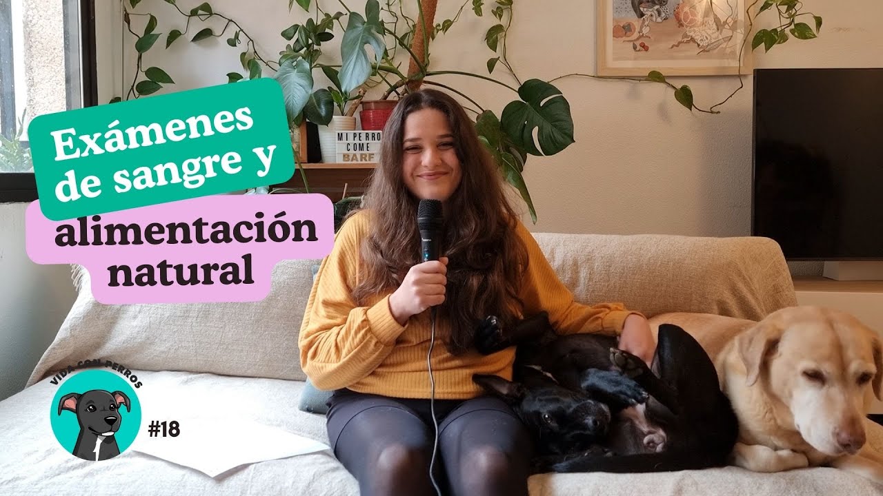 Análisis de sangre en perros alimentados con dieta natural | Vida con perros #18