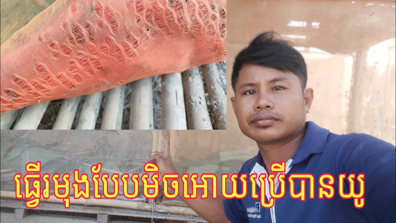 វិធីធ្វើរមុងកណ្តូបបែបមិចអោយប្រើបានយូ #របៀបចិញ្ចឹមកណ្តូ
