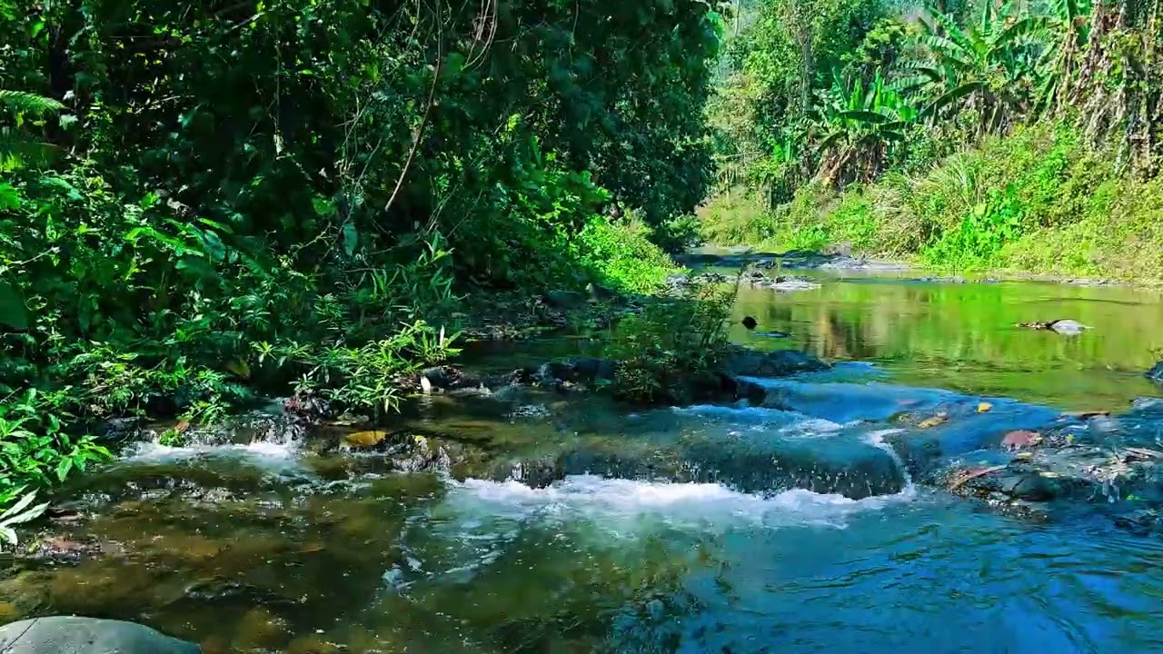 Relaxing With Original River Waterfall Sounds And Nature Sounds #040